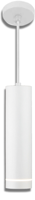 DLR023 12W 4200K / Светильник светодиодный стационарный белый матовый Electrostandart 300*79mm