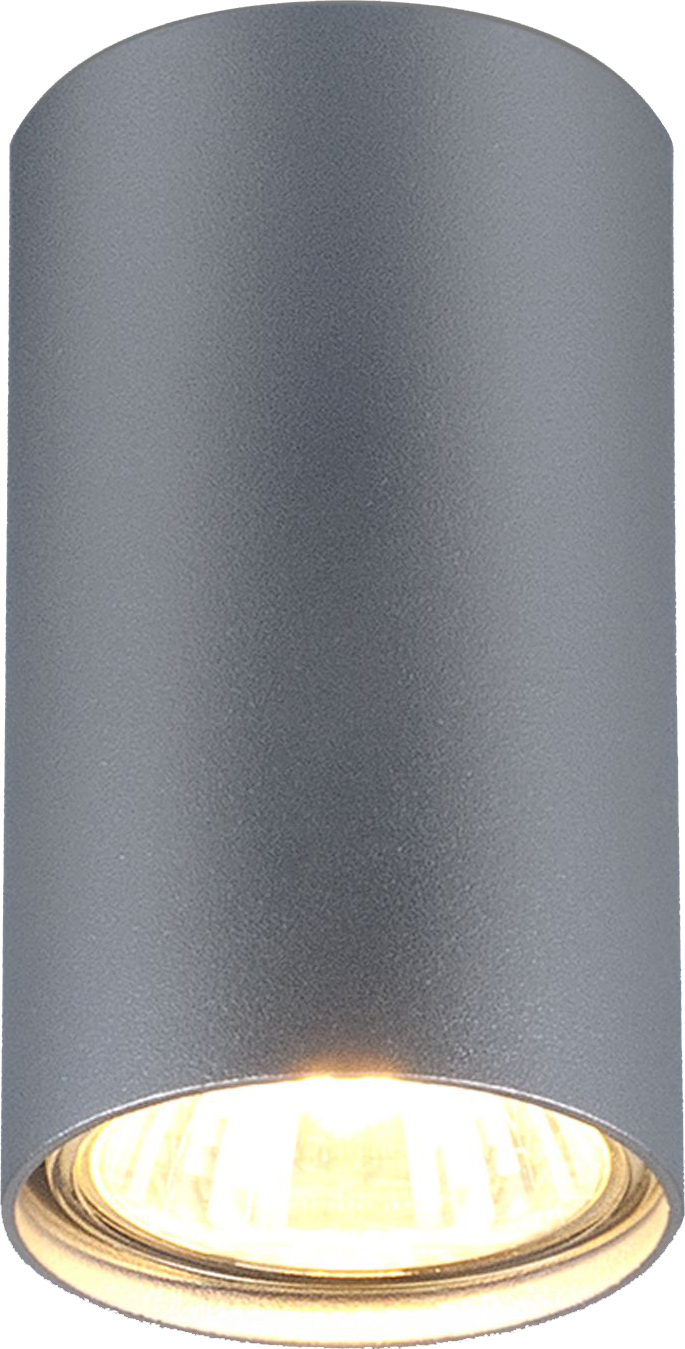 Electrostandart 1081 GU10 / Светильник накладной SL серебро, 55*97мм